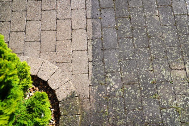 Before and after pressure washing comparison of a stained, mossy driveway transformed to clean concrete