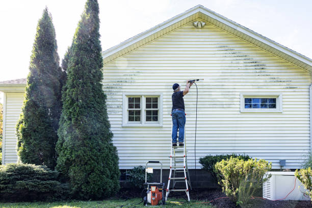 Clean two-story home exterior after professional soft wash house washing